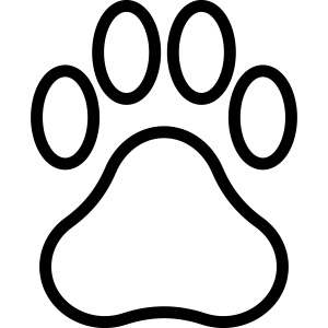 cruelty-free-sanigone